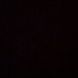 Meet your Posher, Lola